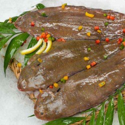 Sole entière et vidée -...