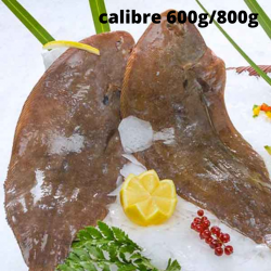 Sole filet - calibre 600g/800g