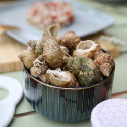 Bulots cuits - lot de 500g