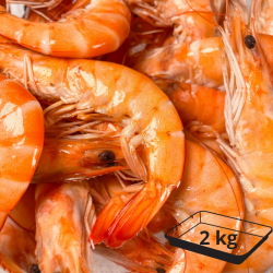 Barquette de 2 kg -...