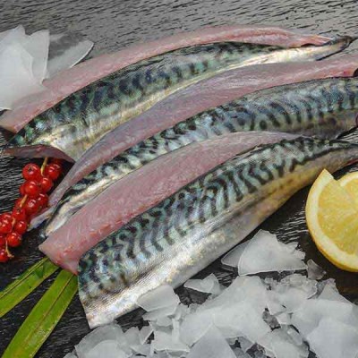 Filets de Maquereaux - lot...