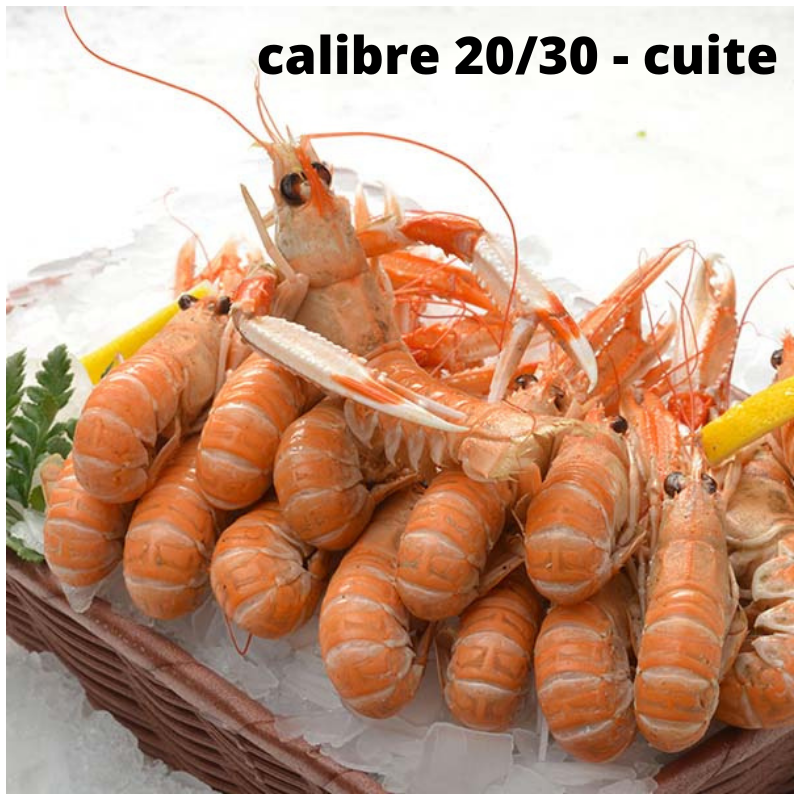 Langoustines cuites calibre 20/30 pièces au kg - lot de 24 pièces