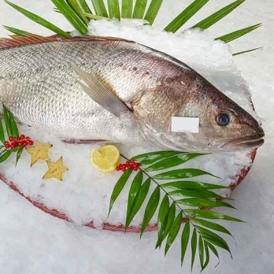 Maigre entier pêche Petit...