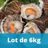 Coquilles St-Jacques - lot de 6kg