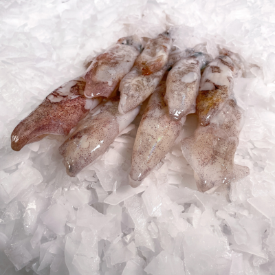 Encornets frais (chipirons) - calibre moins de 100g pièce - lot de 500g