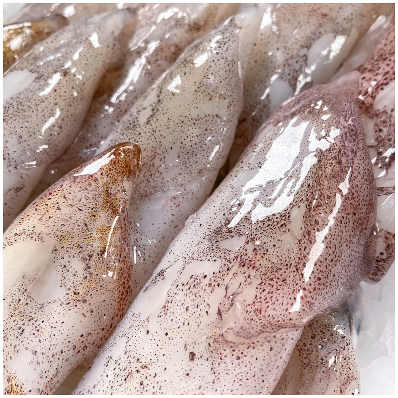 Encornets frais (chipirons) - calibre moins de 100g pièce - lot de 500g
