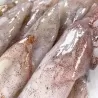 Encornets frais (chipirons) - calibre moins de 100g pièce - lot de 500g