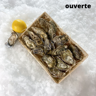 Dorade grise entière -...