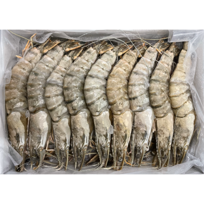 Crevettes entières crues congelées - 16/20 pièces par boîte de 800g