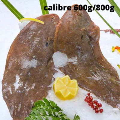 Sole filet - calibre...