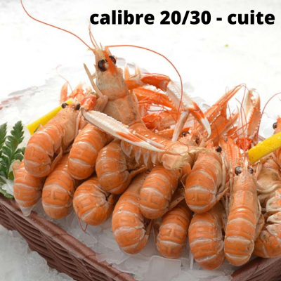 Langoustines cuites calibre...