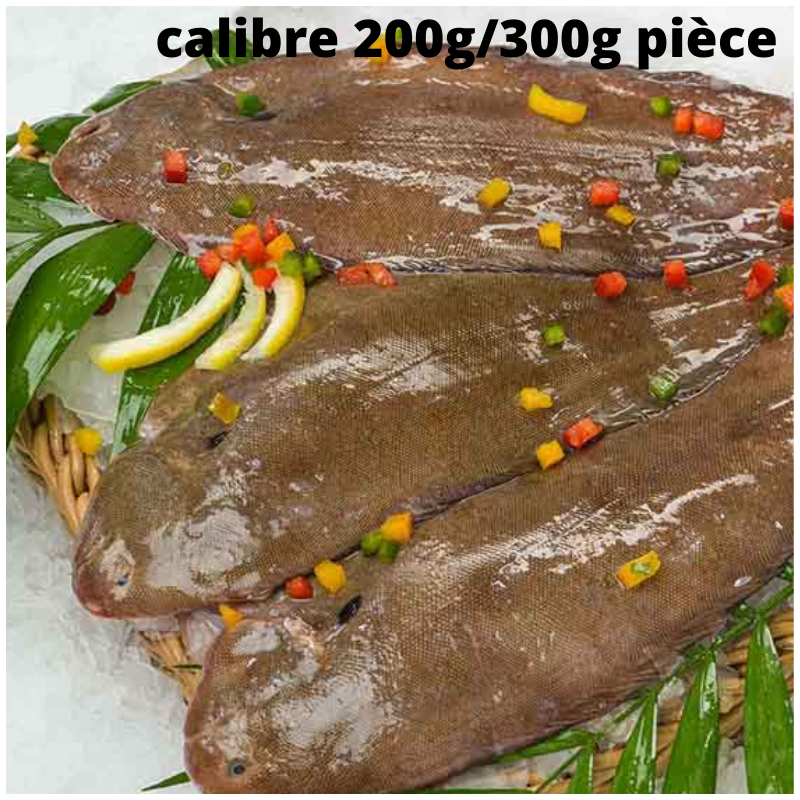 Sole sénégalaise entière et vidée - calibre 200g/300g pièce - lot de 3