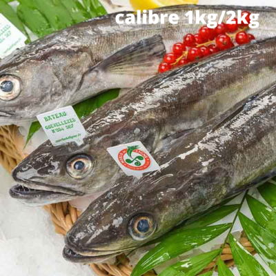 Merlu de ligne de...