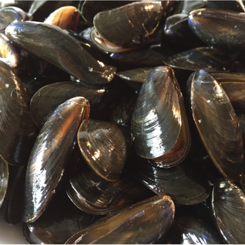 Moules de Bouchot - lot de 1kg