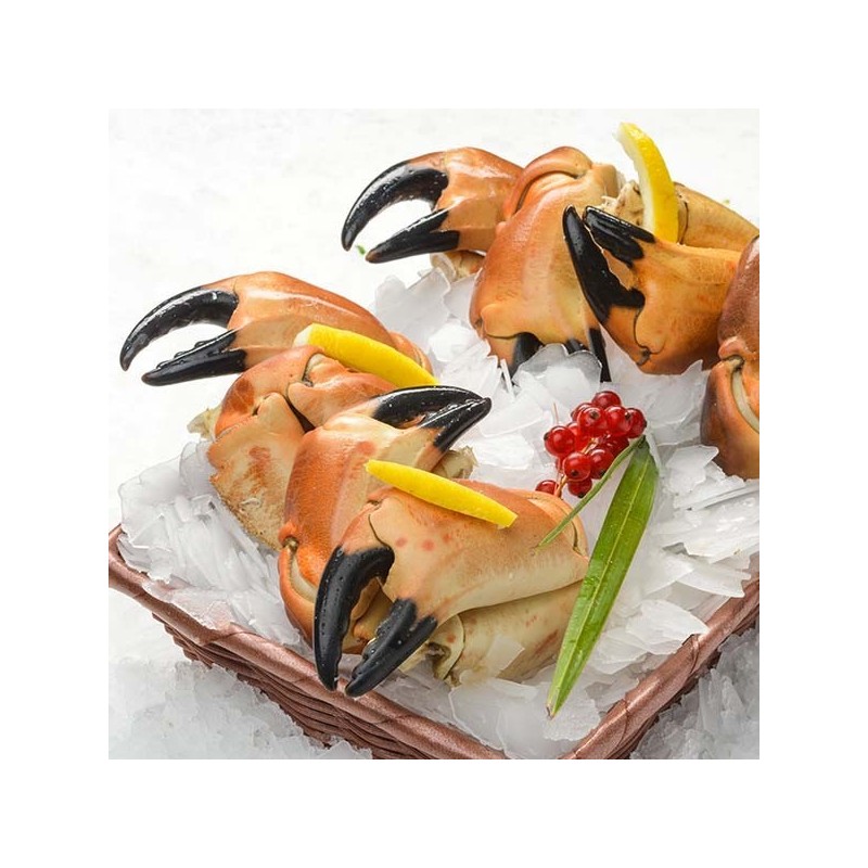 Pince de crabe cuite calibre 4/8 pièces au kg - vendue à l'unité