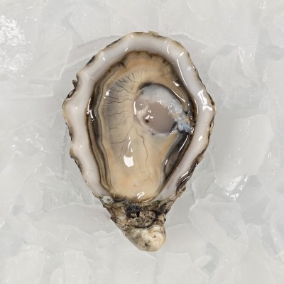 N°3 - Huîtres Spéciales -...