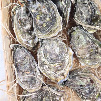 N°3 - Huîtres Spéciales - Sentinelle - 12 pièces