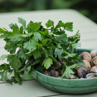 Un bouquet de persil - 1 botte
