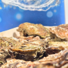 N°3 - Huîtres Fines l' Océane - 12 pièces