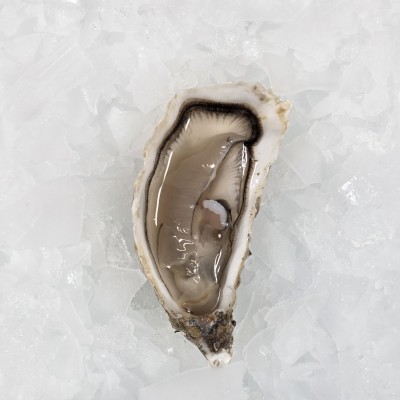 N°3 - Fine de Cancale - Huîtres de Céline - 12 pièces