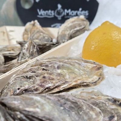 N°3 - Fine de Cancale - Huîtres de Céline - 12 pièces