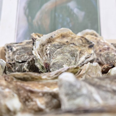 N°3 - Fine de Cancale - Huîtres de Céline - 12 pièces