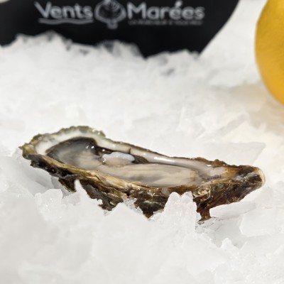 N°3 - Huîtres Fines l'...