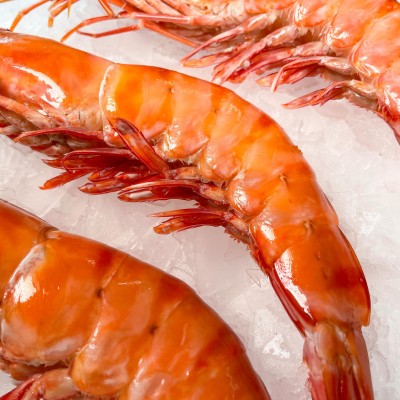 Lot de 3 camerones sauvages...