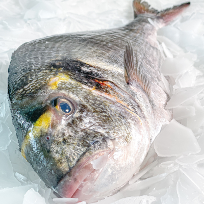 Daurade royale entière -...