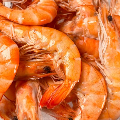Crevettes Roses Equateur -...