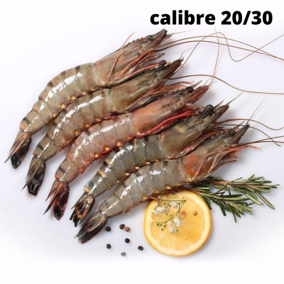 14 grosses crevettes crues  + 4 offertes - calibre 20/30 pièces au kg - ne pas congeler