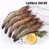 14 grosses crevettes crues  + 4 offertes - calibre 20/30 pièces au kg - ne pas congeler