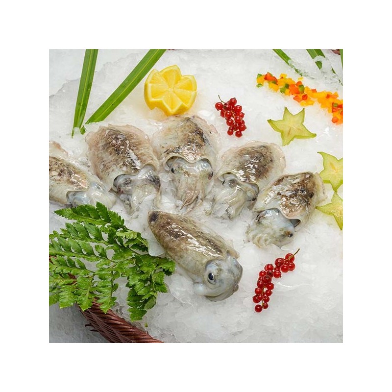 Seiche petite - casseron - lot de 1kg