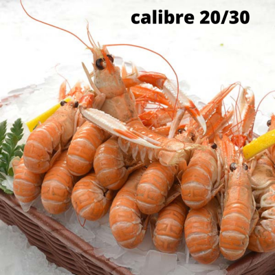 Langoustines cuites calibre 20/30 pièces au kg - lot de 24 pièces